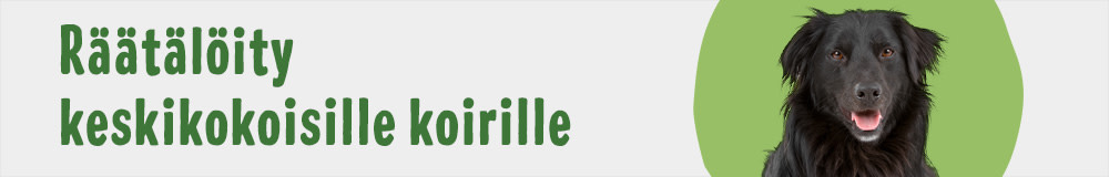 Dog Breed Mixed Medium 1000x160 FI