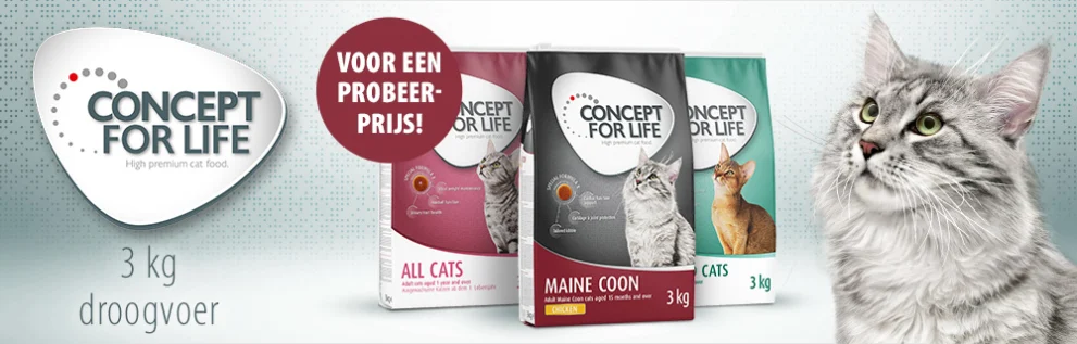 Concept for Life 3 kg Katten Droogvoer voor een speciale prijs!