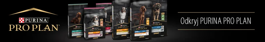 Purina Pro Plan karma sucha dla psów