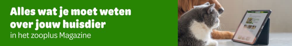 zooplus magazine