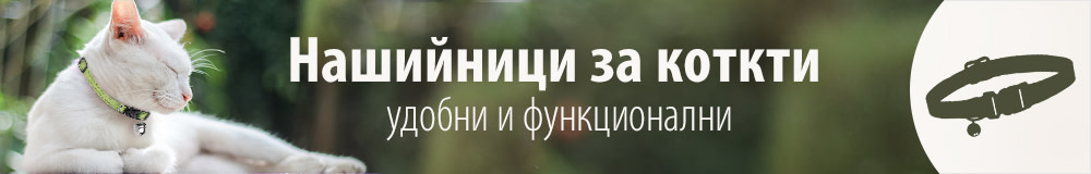 Нашийници за котки!