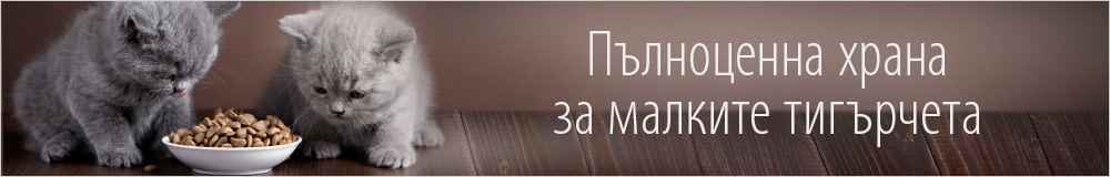 Суха храна за котенца