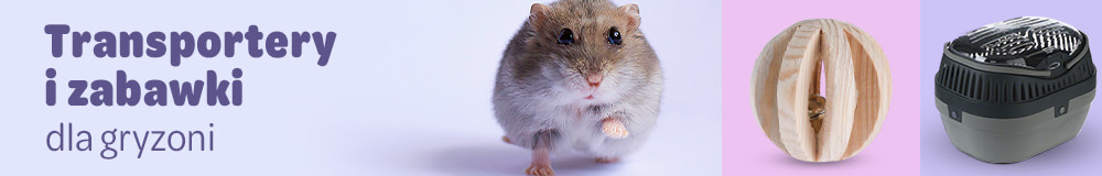 Transportery i zabawki