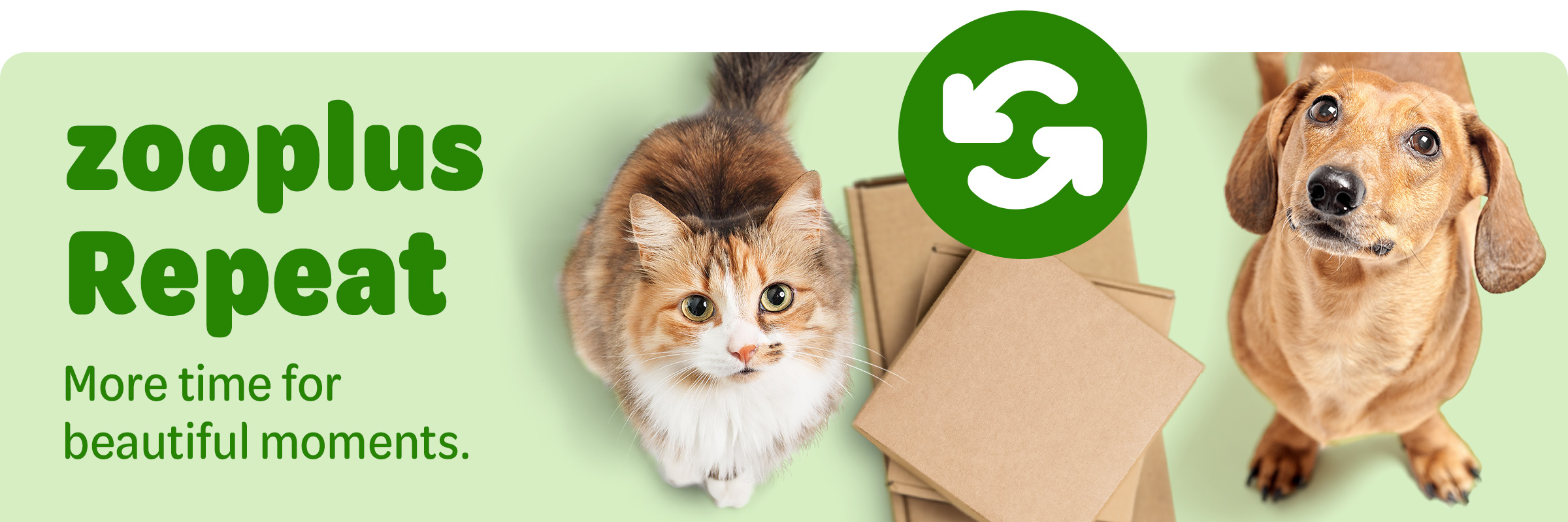 International pet supplies and distribution best sale