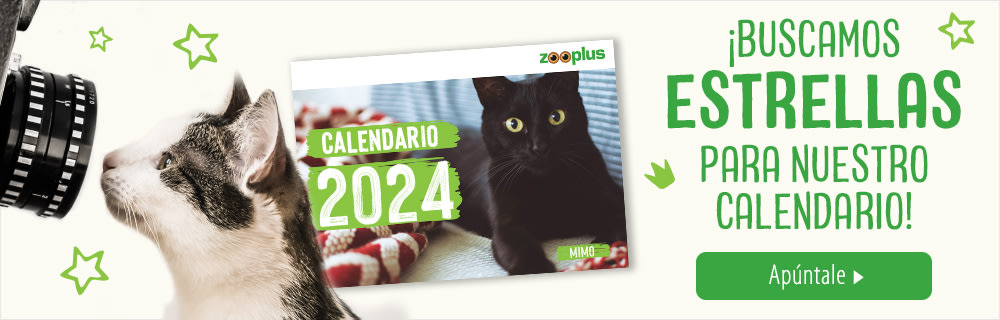 Calendario zooplus 2024