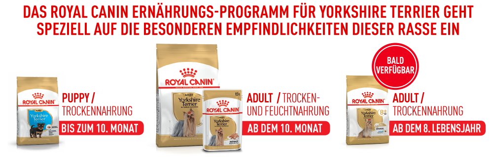 Alle Royal Canin Yorkshire Produkte