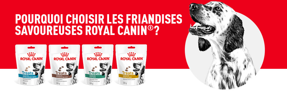 Découvrir la gamme complète