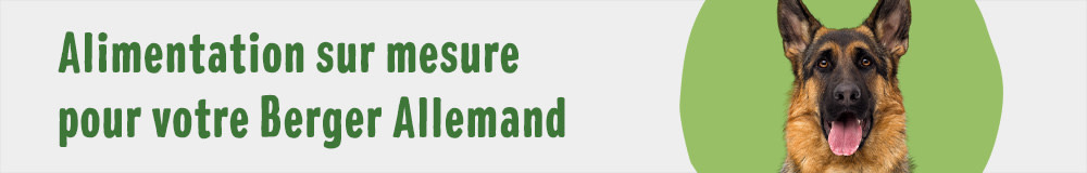 Alimentation sur mesure pour votre Berger Allemand