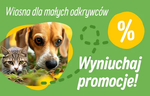 Spring_Banner_General_PL