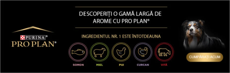 Descoperă Pro Plan hrană uscată pentru câini!