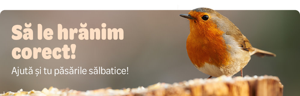 Alege hrana ideală pentru păsările sălbatice!