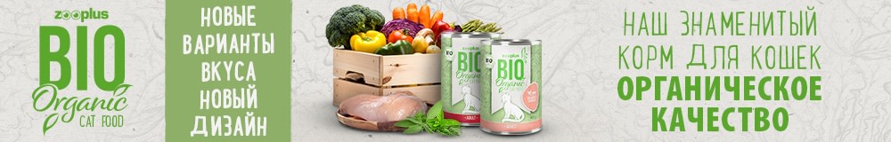 Bio корм для кошек