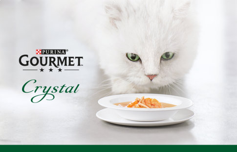 Gourmet Crystal Comida húmeda para gatos