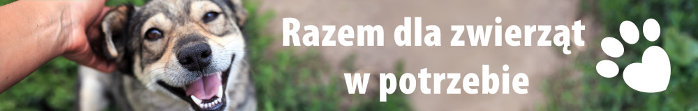 Pomagamy zwierzętom w potrzebie