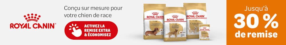 Royal Canin conçu sur mesure pour votre chien de race - jusqu'à 30% de remise.
