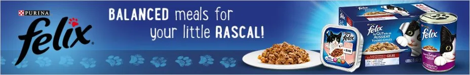 Balanced meals for your little rascal!
