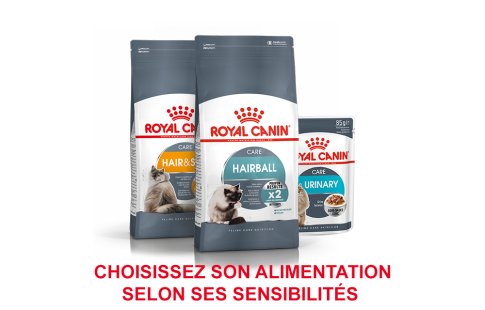 ROYAL CANIN BRAND PAGE - CAT Subpage - Grid Container - Product Line - Sensitivity image