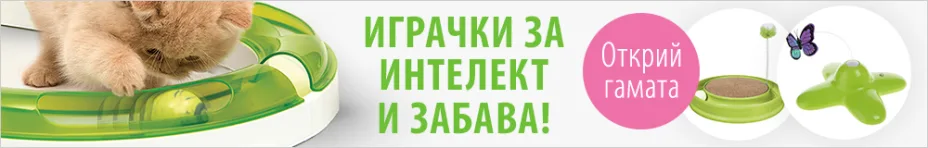 Развийте интелекта на котката си сега!