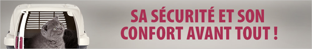 Sacs, caisses et cages de transport pour chatons