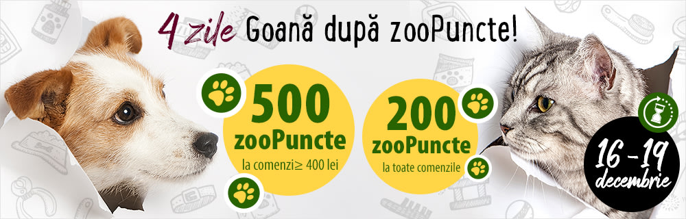 🎁 4 zile de Goană după zooPuncte: 200 zooPuncte sau 500 zooPuncte? Tu alegi! Doar în perioada 16-19 decembrie, inclusiv.