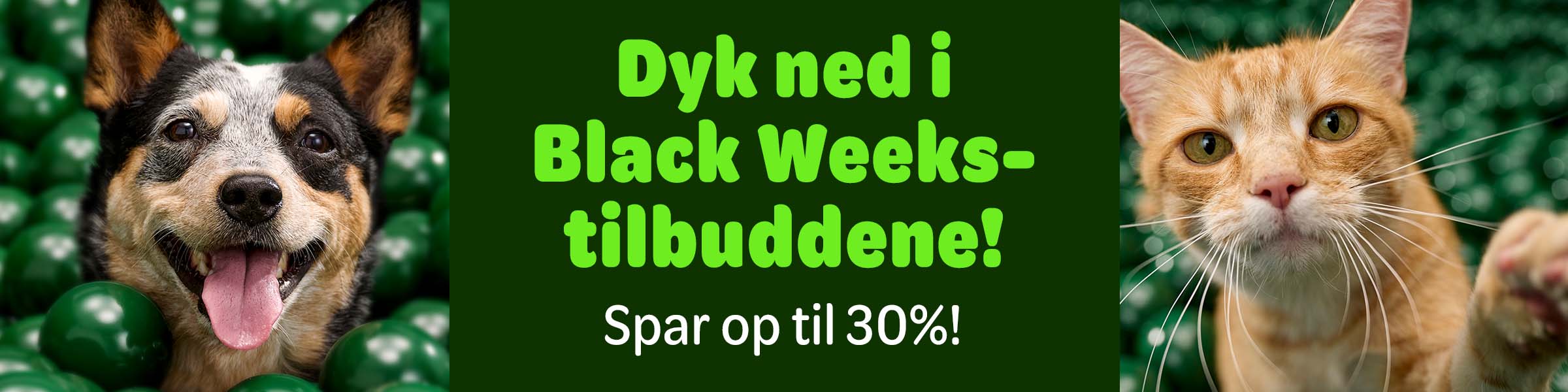 Udforsk årets bedste tilbud