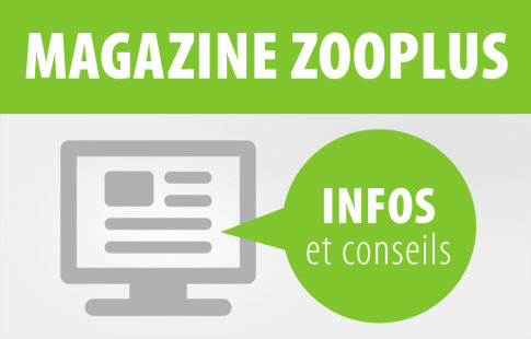 Magazine zooplus