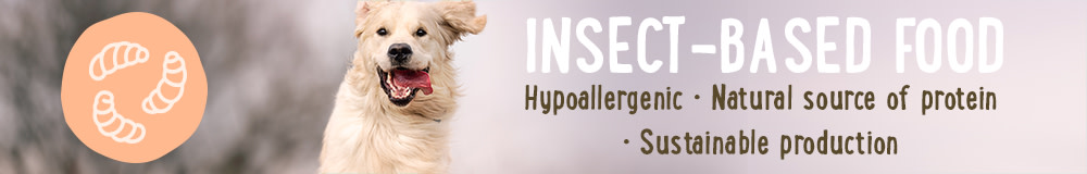  Insect-Based Dog Food