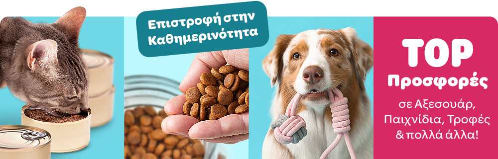 Επιστροφή στην Καθημερινότητα - TOP Προσφορές σε Αξεσουάρ, Παιχνίδια, Τροφές & πολλά άλλα!