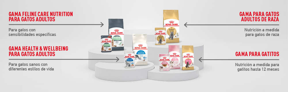 Royal Canin todas sus gamas para gatos