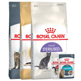 Royal Canin Feline Health Nutrition pour chat