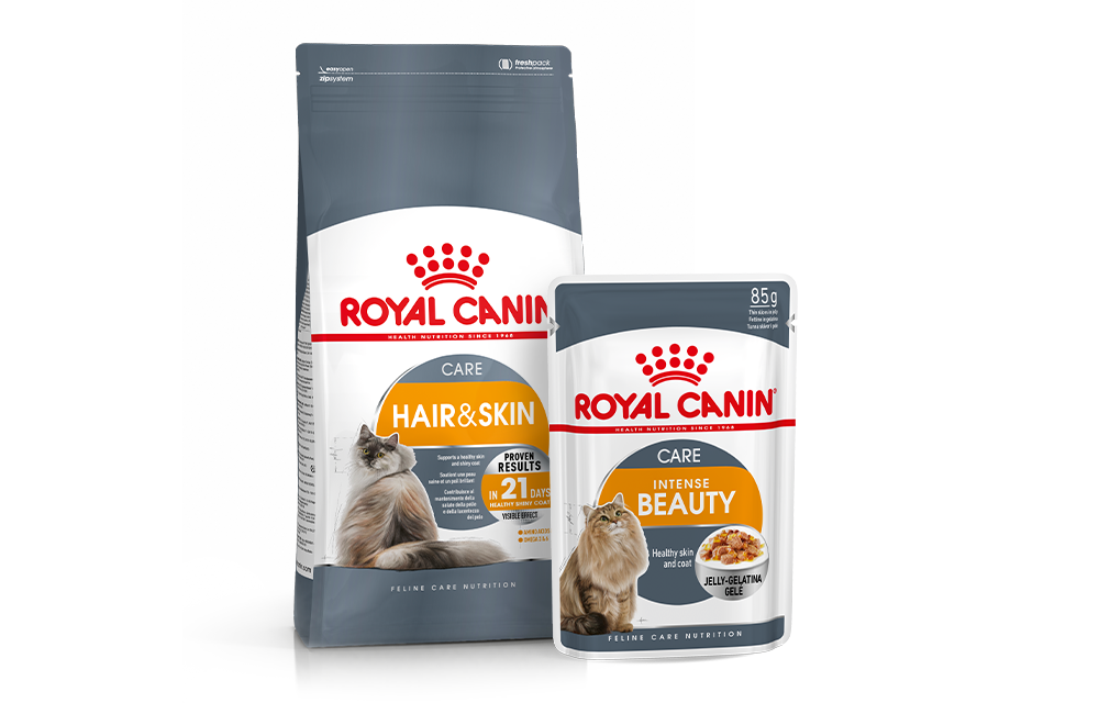 Royal canin outlet 4800 zooplus