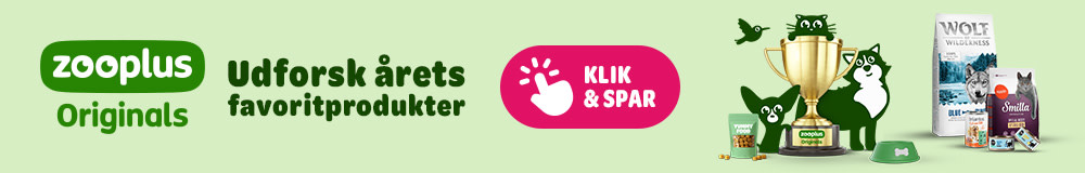 Udforsk årets favoritprodukter