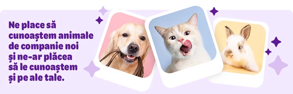 Creează profilul animăluțului tău de companie