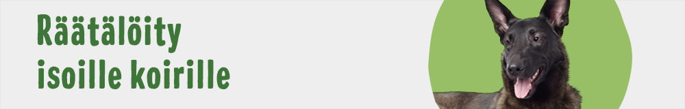 Dog Breed Mixed Large 1000x160 FI