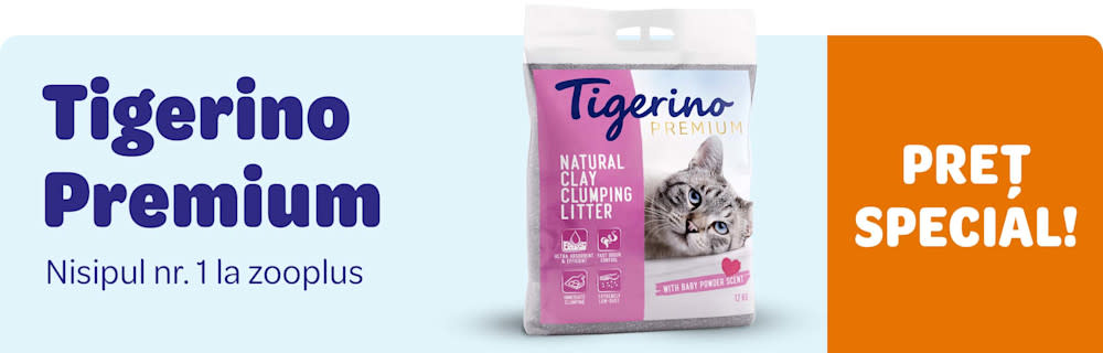 Preț special. Tigerino Premium. Nispul numărul 1 la zooplus.