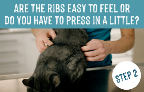 Are the ribs easy to feel or do you have to press in a little?