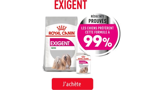 Royal Canin Canine Care Subpage - Grid Exigent Image