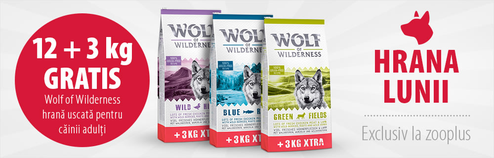 12 + 3 kg gratis! 15 kg Wolf of Wilderness Adult