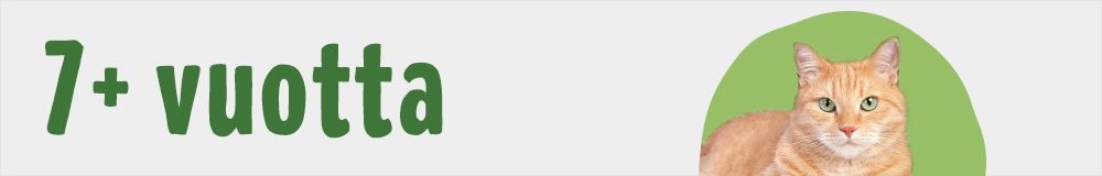 Senior Cat Category 7 1000x160 FI