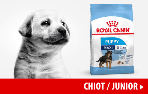 Nourriture Royal Canin pour chiot >