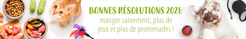 Bonnes résolutions 2021 pour votre chien ou votre chat