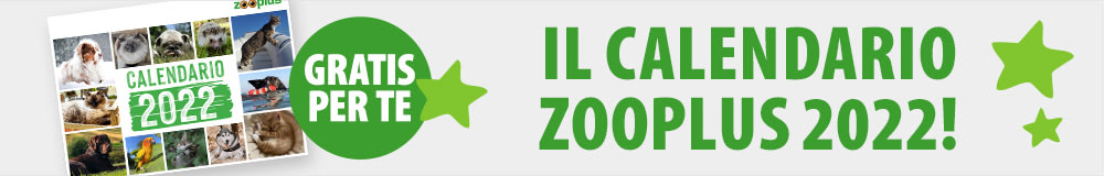 Ricevi gratis il calendario zooplus 2020!