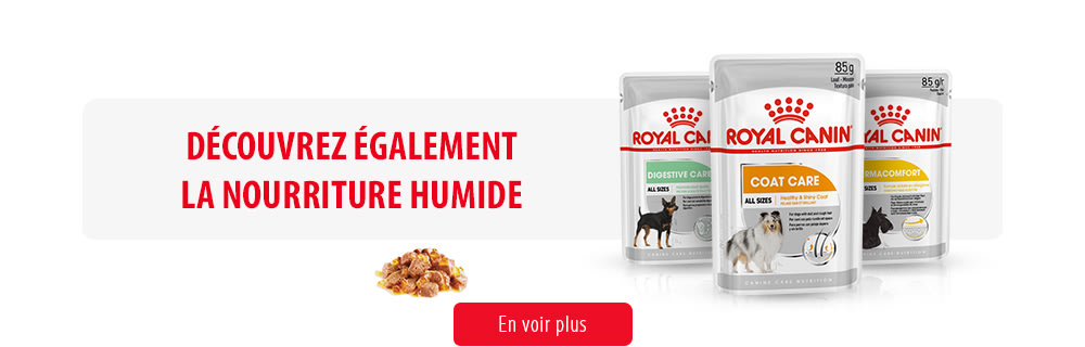 Royal Canin Canine Care Subpage - Middle banner humides Image