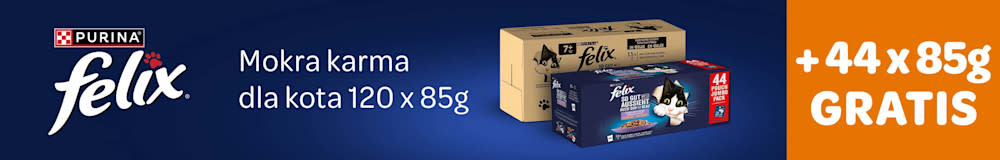 Felix mokra karma dla kota 120x85g +44x85g gratis