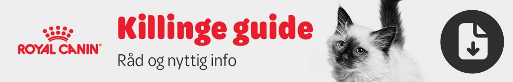 Killinge Guide
