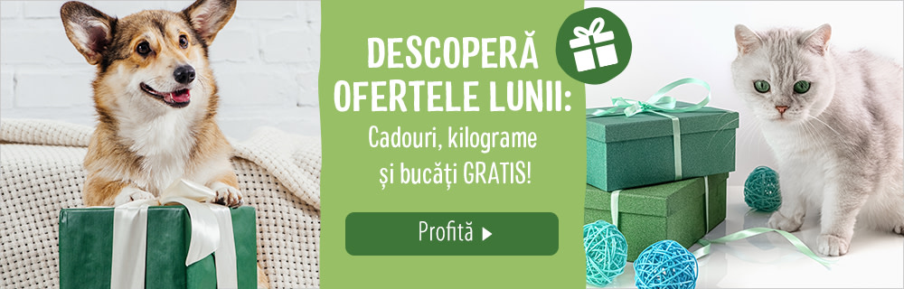 Descoperă promoțiile lunii!