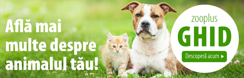 Descoperă ghidul zooplus pentru animale de companie!