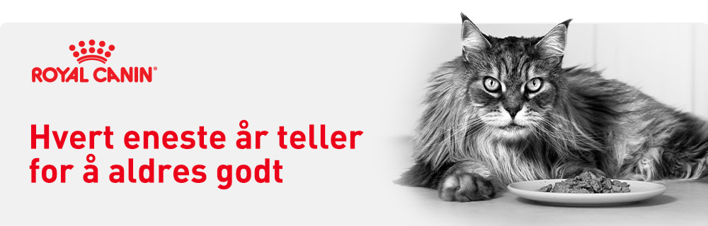 Hvert år teller for en sunn alderdom