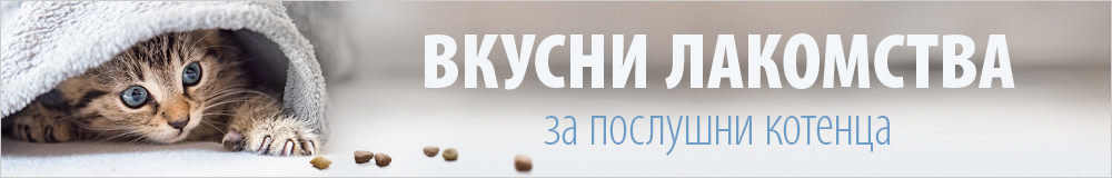 Лакомства за котенца