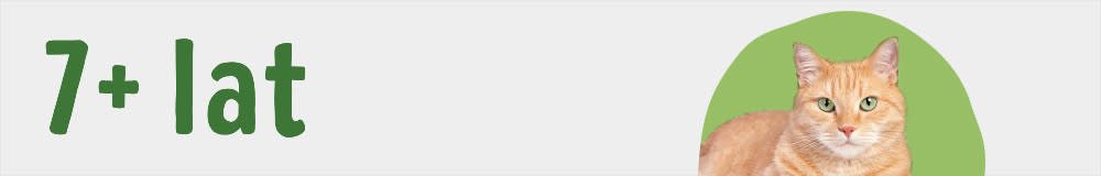 Karma dla starszych kotów w wieku 7 lat i starszych: